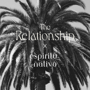 The Relationship x Espiritu Nativo